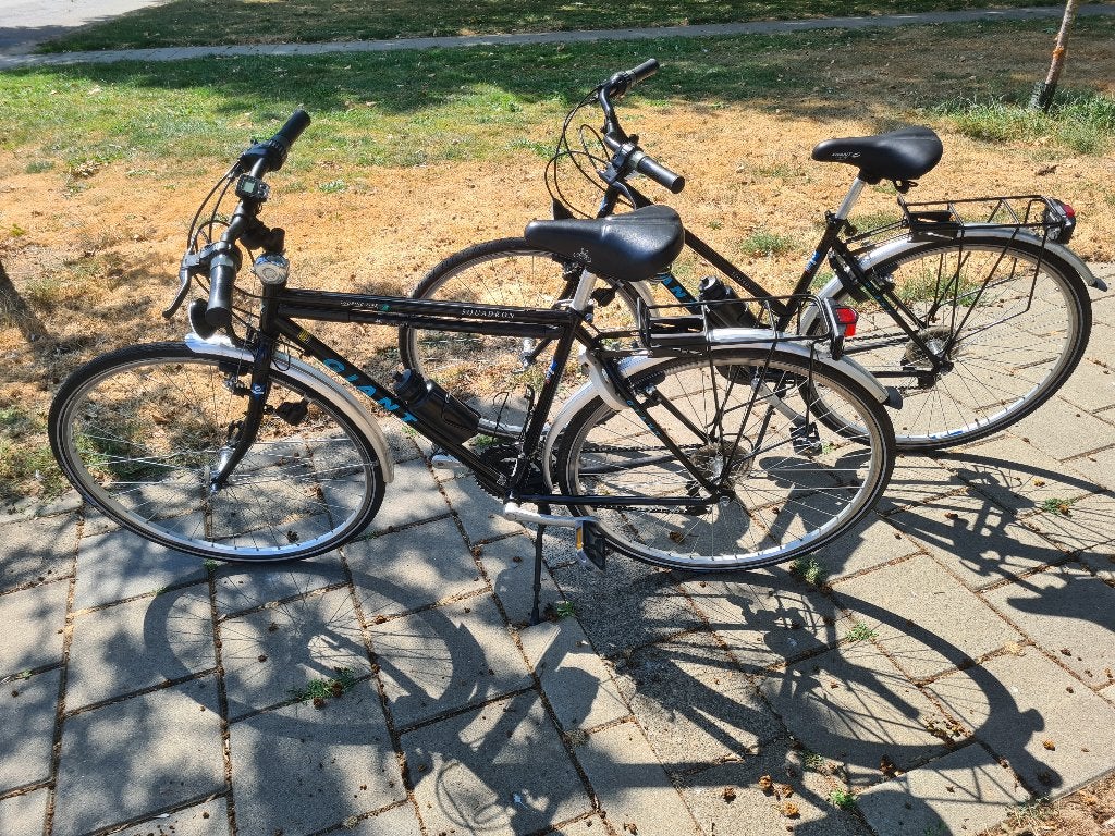 Toerfietsen Giant 28"inch., Frein sur jante, 57 à 61 cm, Giant, Enlèvement