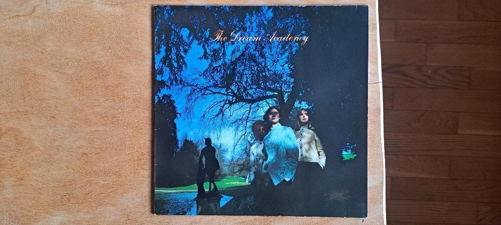 Lp THE DREAM ACADEMY, Ophalen of Verzenden, Zo goed als nieuw