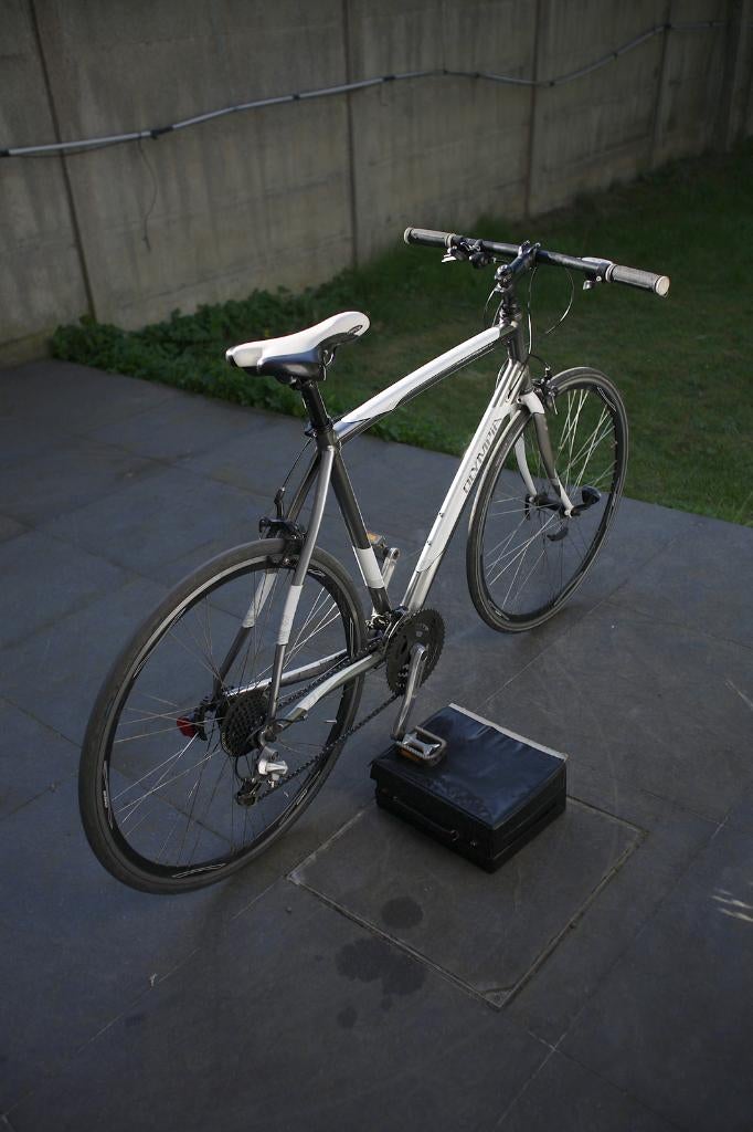 Olympia „Superleggera” fiets, Gebruikt, 26 inch, 15 tot 20 versnellingen, Ophalen
