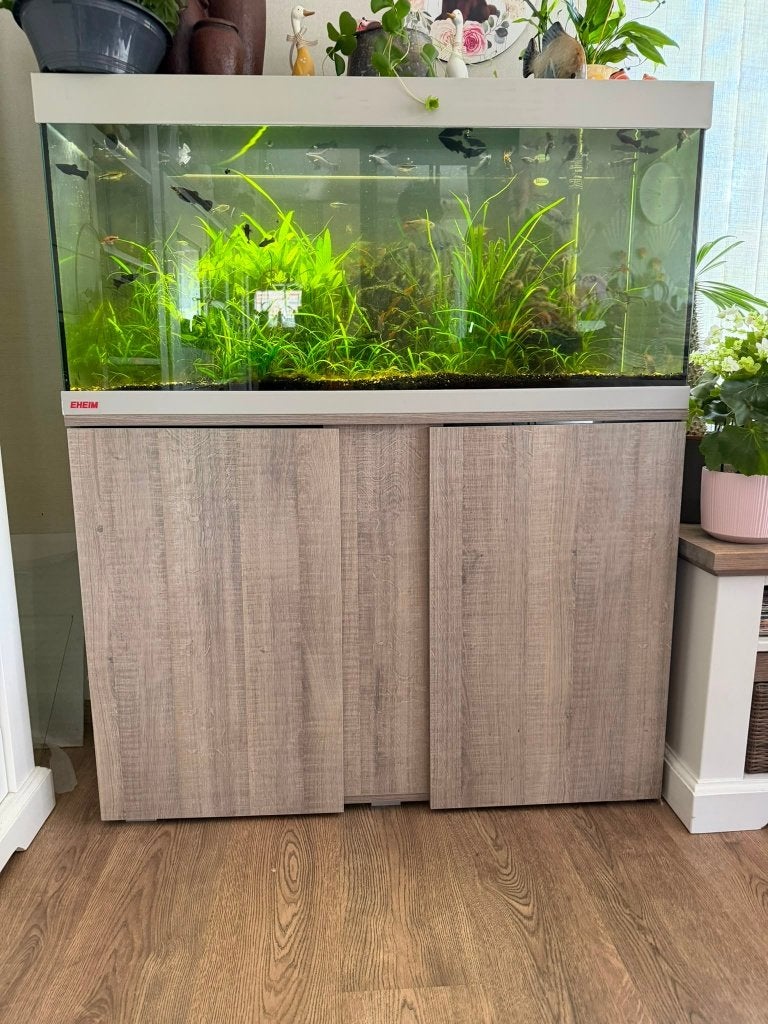 Eheim Aquarium in nieuwstaat, Animaux & Accessoires, Poissons inclus, Enlèvement, Eheim, Meuble d'aquarium