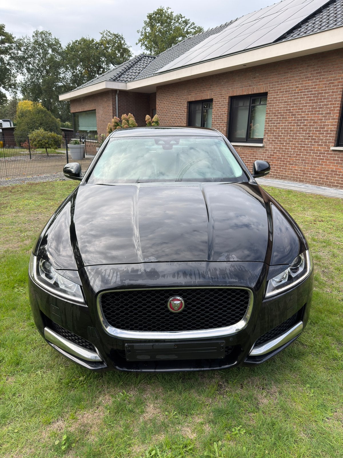 Jaguar XF*2.0Diesel*Euro6b*Export, Autos, Entreprise, Automatique, 132 kW, Traction avant