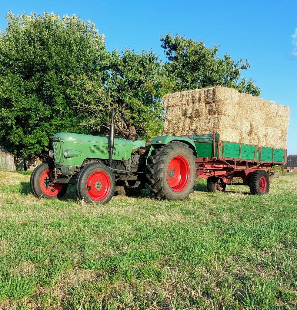 Hooi in kleine balen ,  eerste snede 2026 nieuwe oogst, Ophalen, Overige soorten