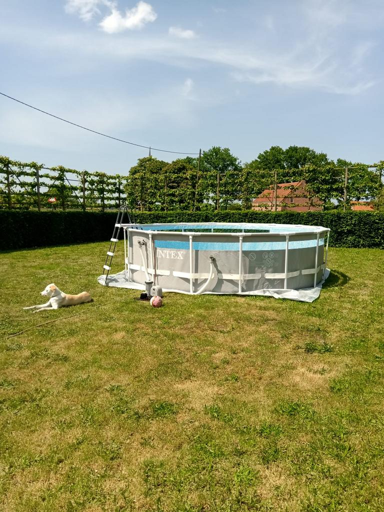 Intex zwembad, Tuin en Terras, Ophalen, Gebruikt, Rond, Opzetzwembad