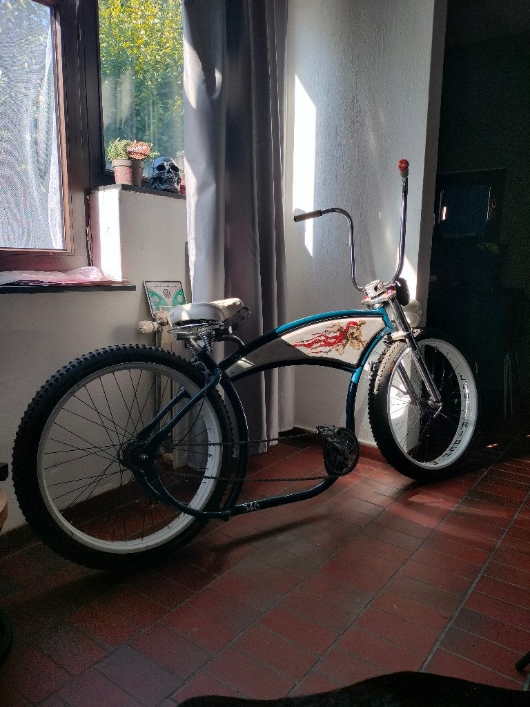 Unieke fiets, Terugtraprem, Staal, Cruiser, Heren