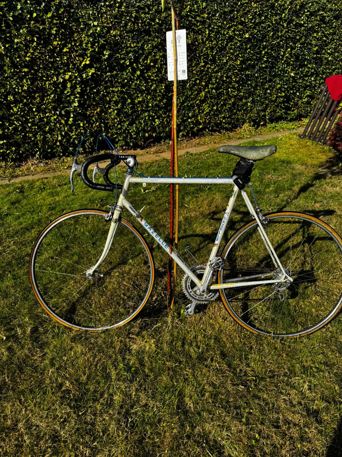 Gazelle Champion Mondial vintage racefiets (Reynolds 53), Ophalen, Gebruikt, Gazelle