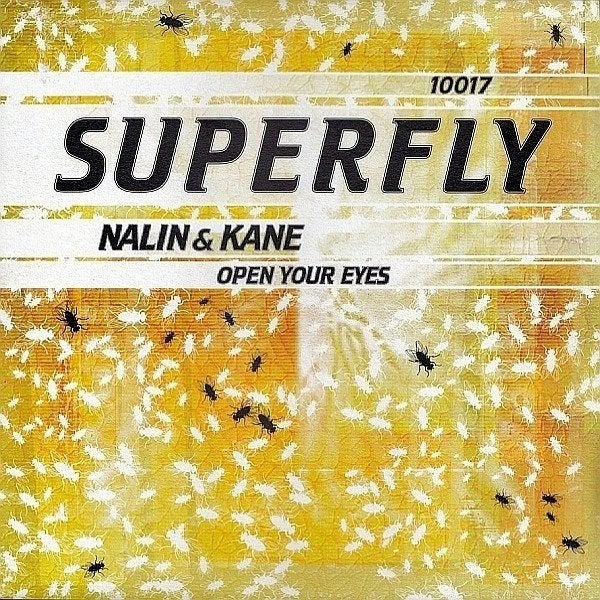 Nalin & Kane - Open Your Eyes, Enlèvement ou Envoi, Utilisé, 12 pouces, Trance