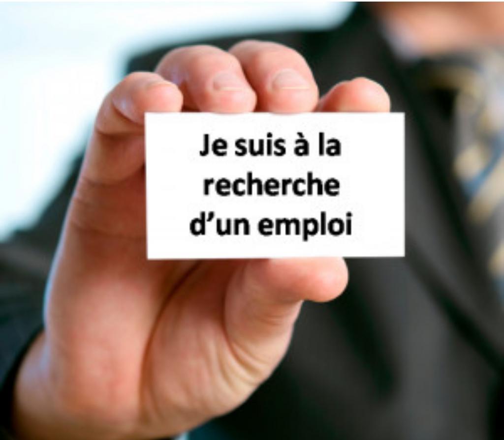 Chaufeur, Livreur, Offres d'emploi