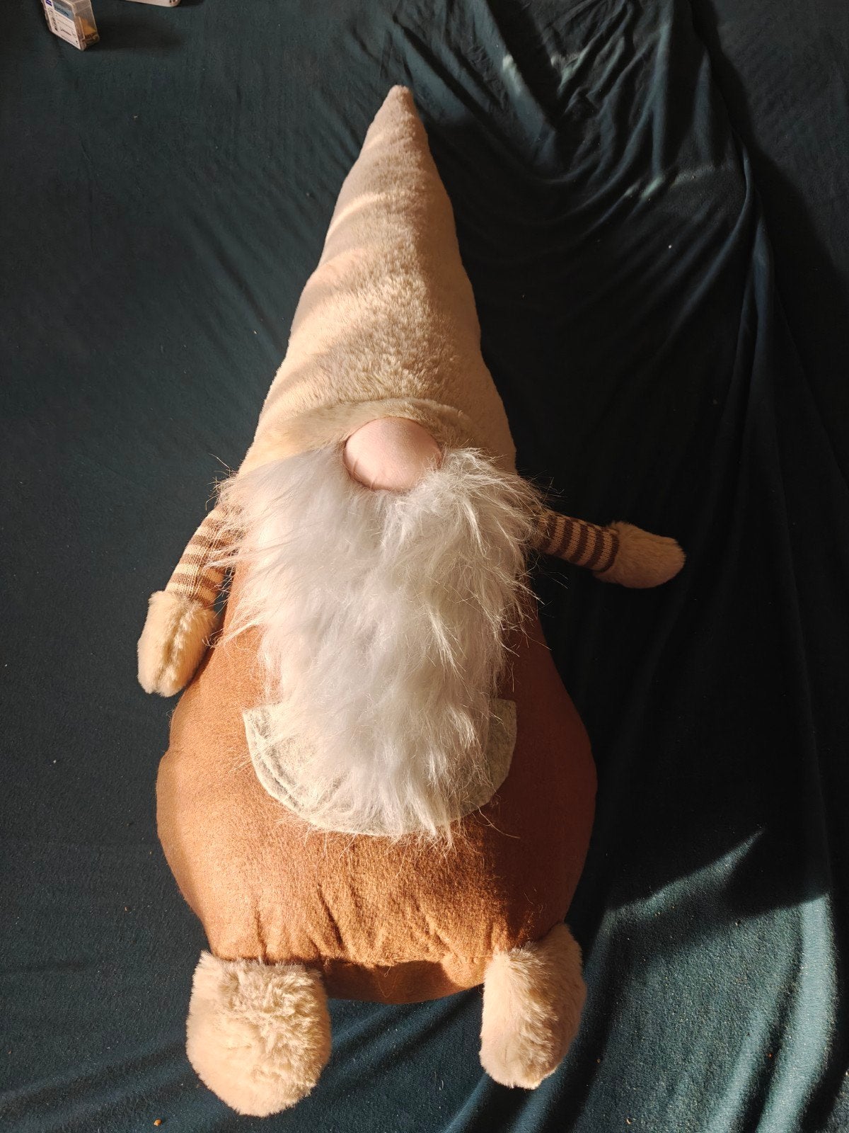gnoom, Animaux & Accessoires, Animaux perdus et trouvés