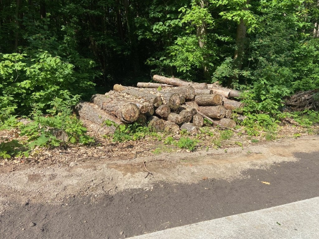 brandhout, 6 m³ of meer, Ophalen