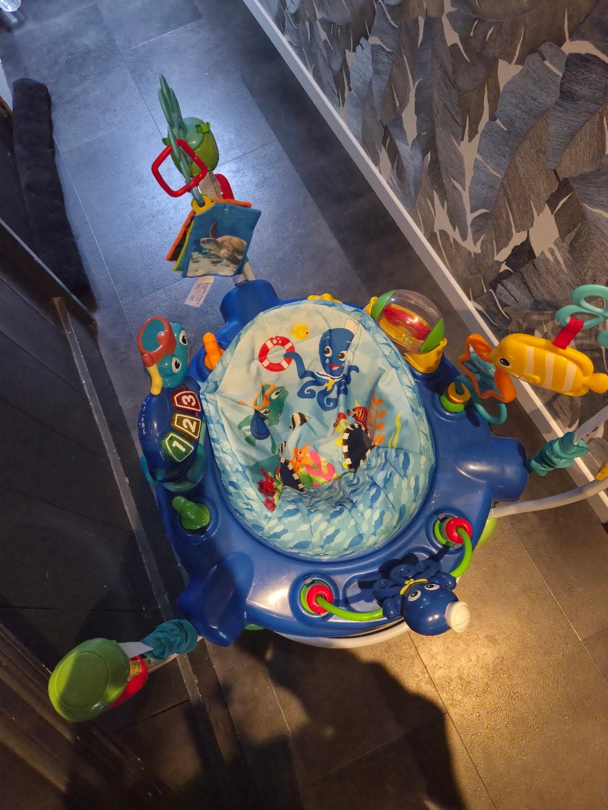 Sauteur Baby Einstein, Enfants & Bébés, Enlèvement, Utilisé