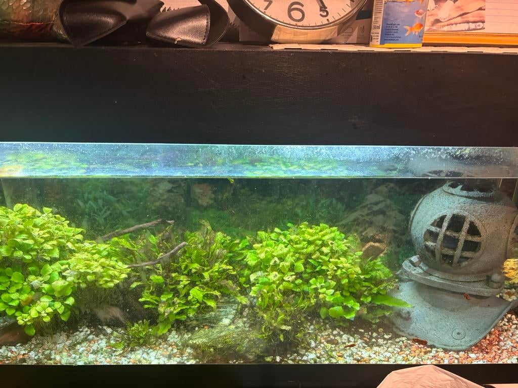 A venvre meuble avec aquarium et décor, Animaux & Accessoires, Enlèvement, Utilisé