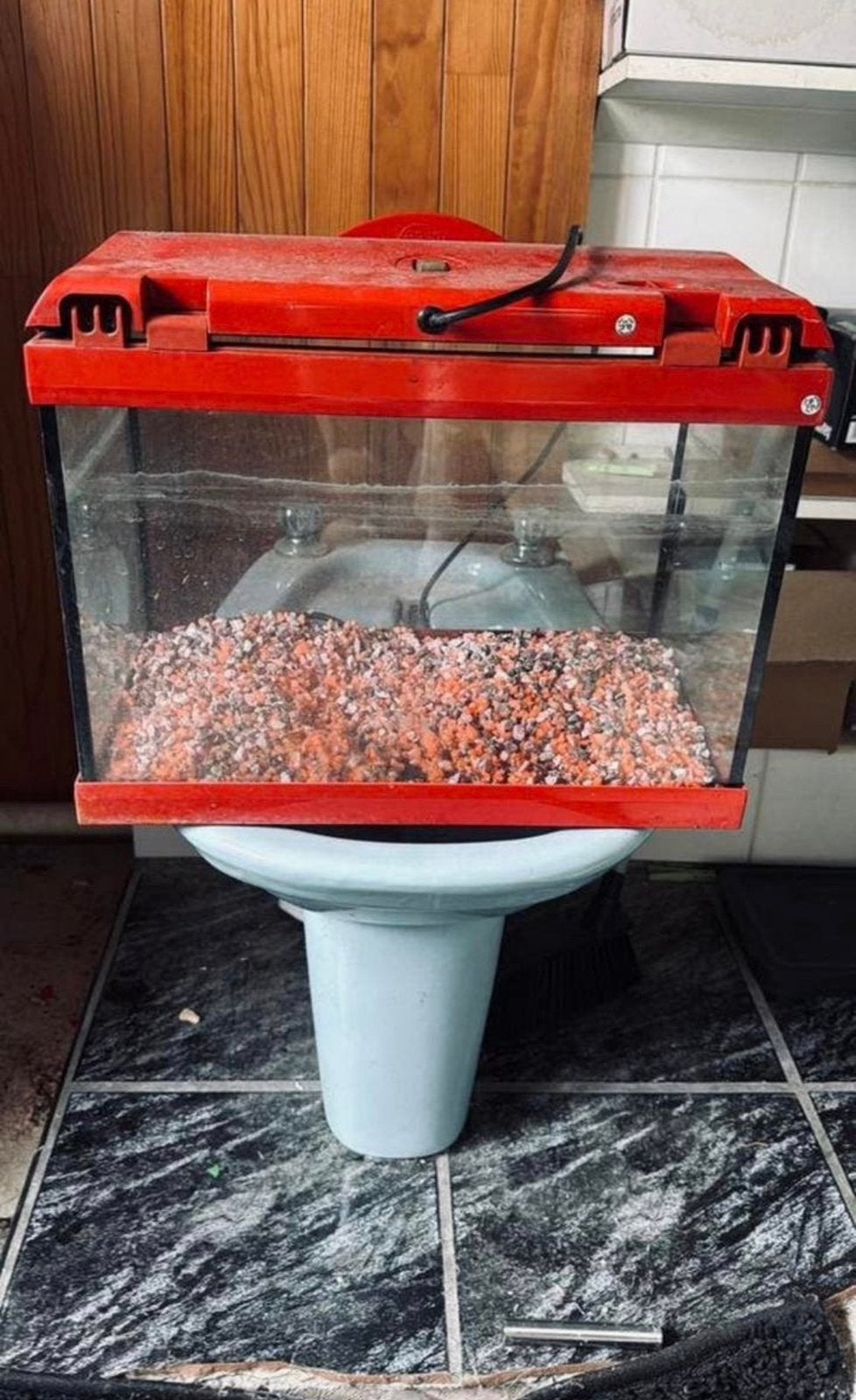 Aquarium met verlichting- goede staat, Ophalen, Zo goed als nieuw, Verlichting
