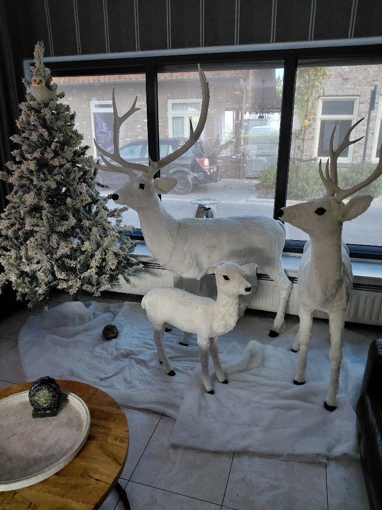 Kerst  tafereel 1000 euro, Diversen, Kerst, Ophalen, Zo goed als nieuw