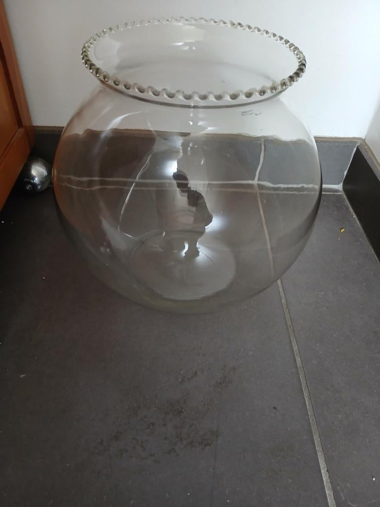 Visbokaal, Dieren en Toebehoren, Ophalen