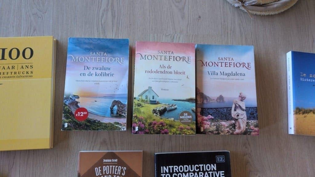 Als de rododendron bloeit - 479 blz - 5€, Livres, Romans, Enlèvement ou Envoi, Utilisé, Santa Montefiore, Belgique