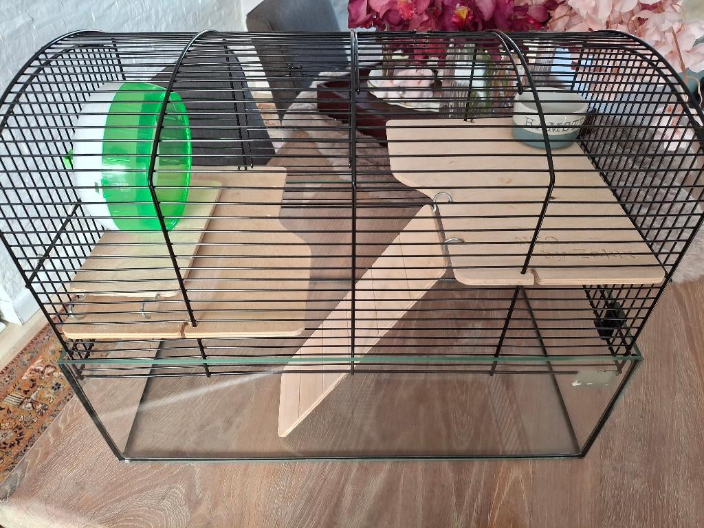 Nieuwe kooi, Dieren en Toebehoren, Ophalen, Kooi