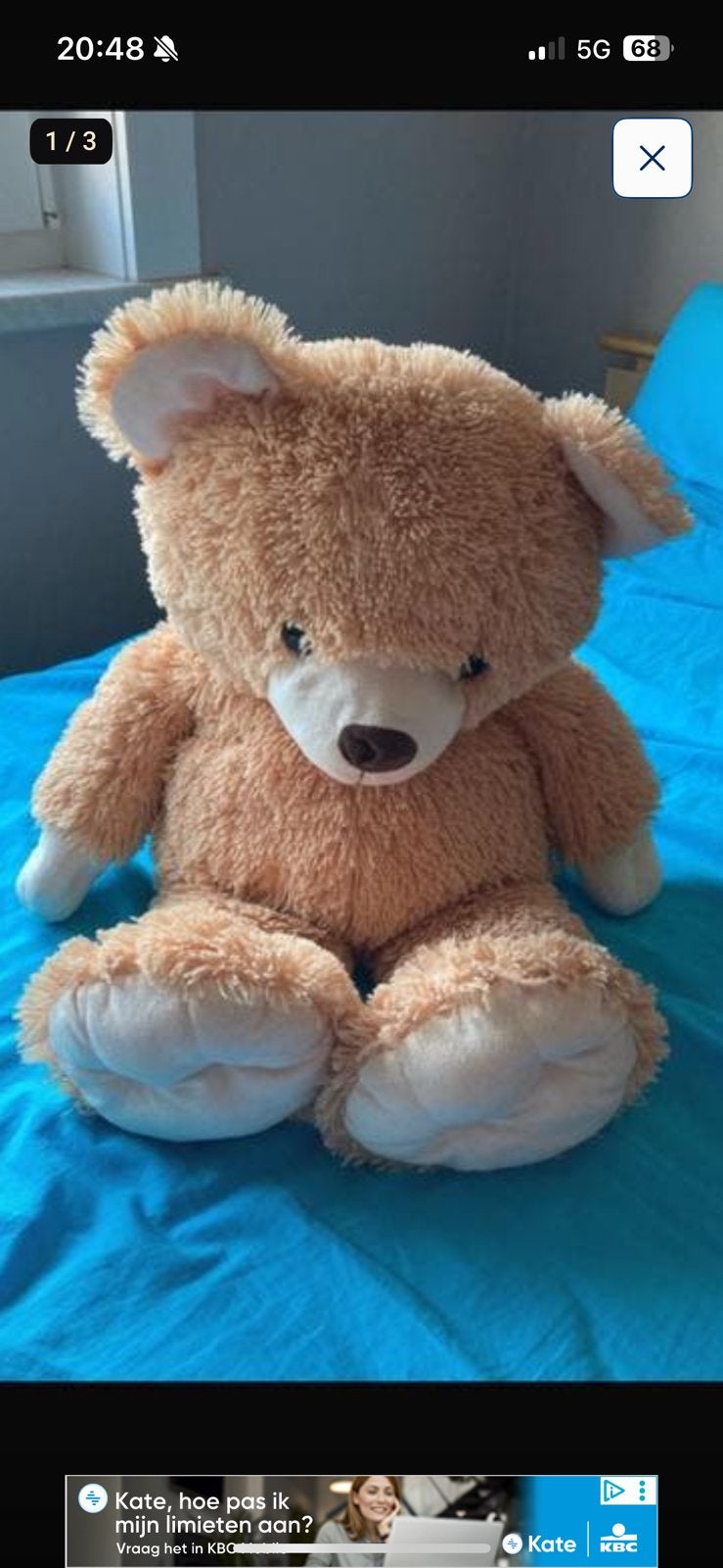 Teddy bear, Verzamelen, Ophalen, Zo goed als nieuw