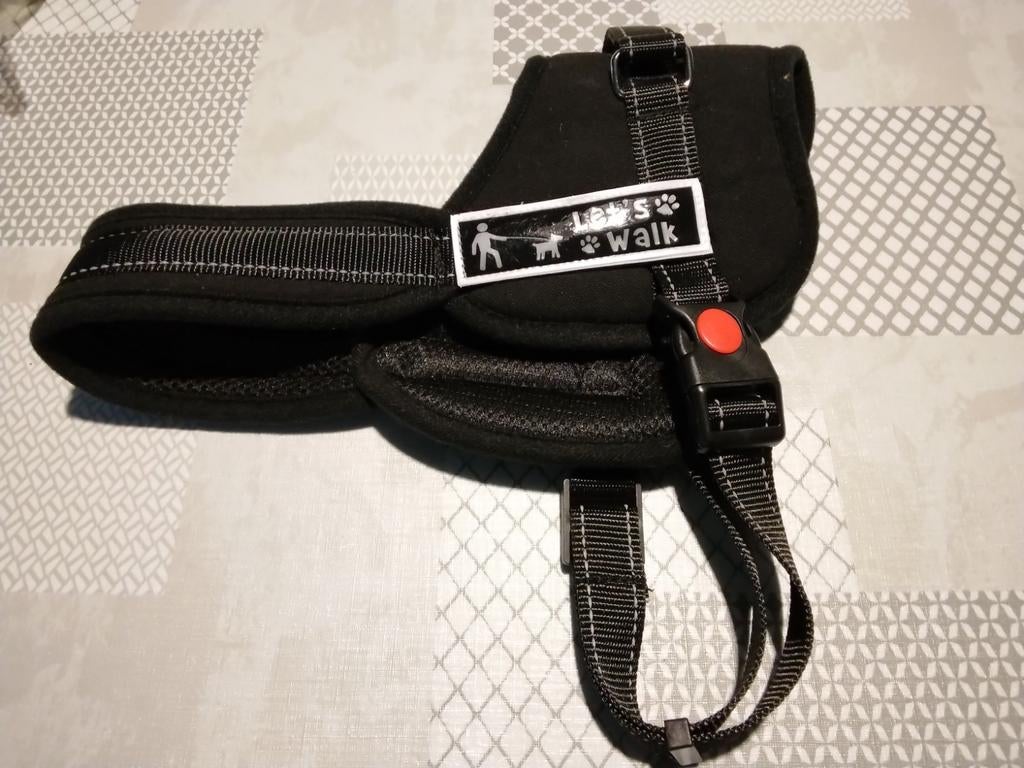 Hondenharnas - nieuw, Dieren en Toebehoren, Ophalen
