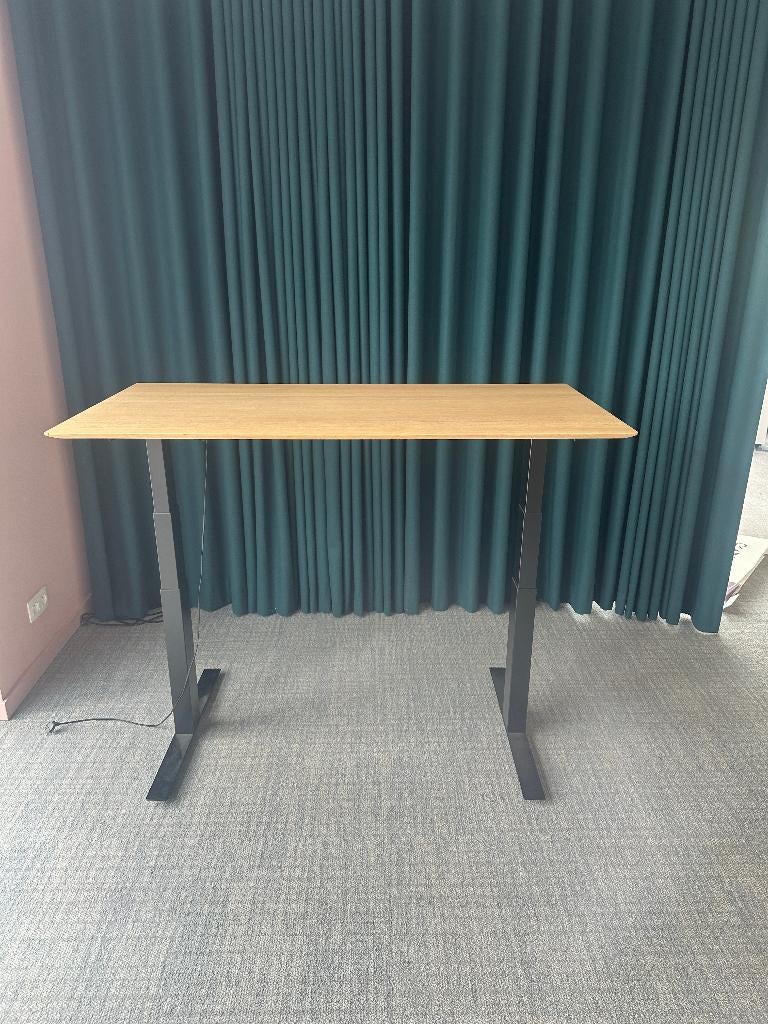 In de hoogste verstelbare tafel Ethnicraft, Bureau assis-debout, Électrique, 140 cm, Enlèvement