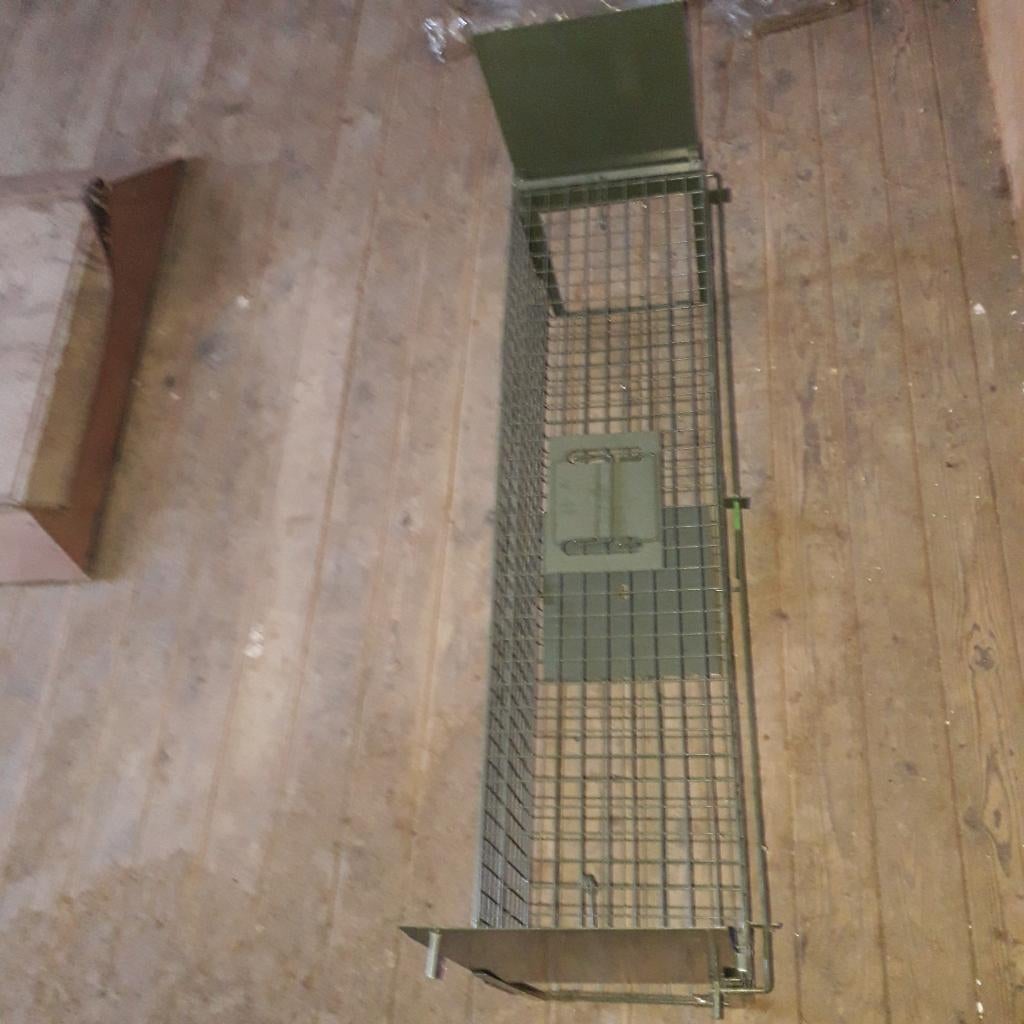 Cage Trappe Chat Errant, Animaux & Accessoires, Enlèvement, Comme neuf