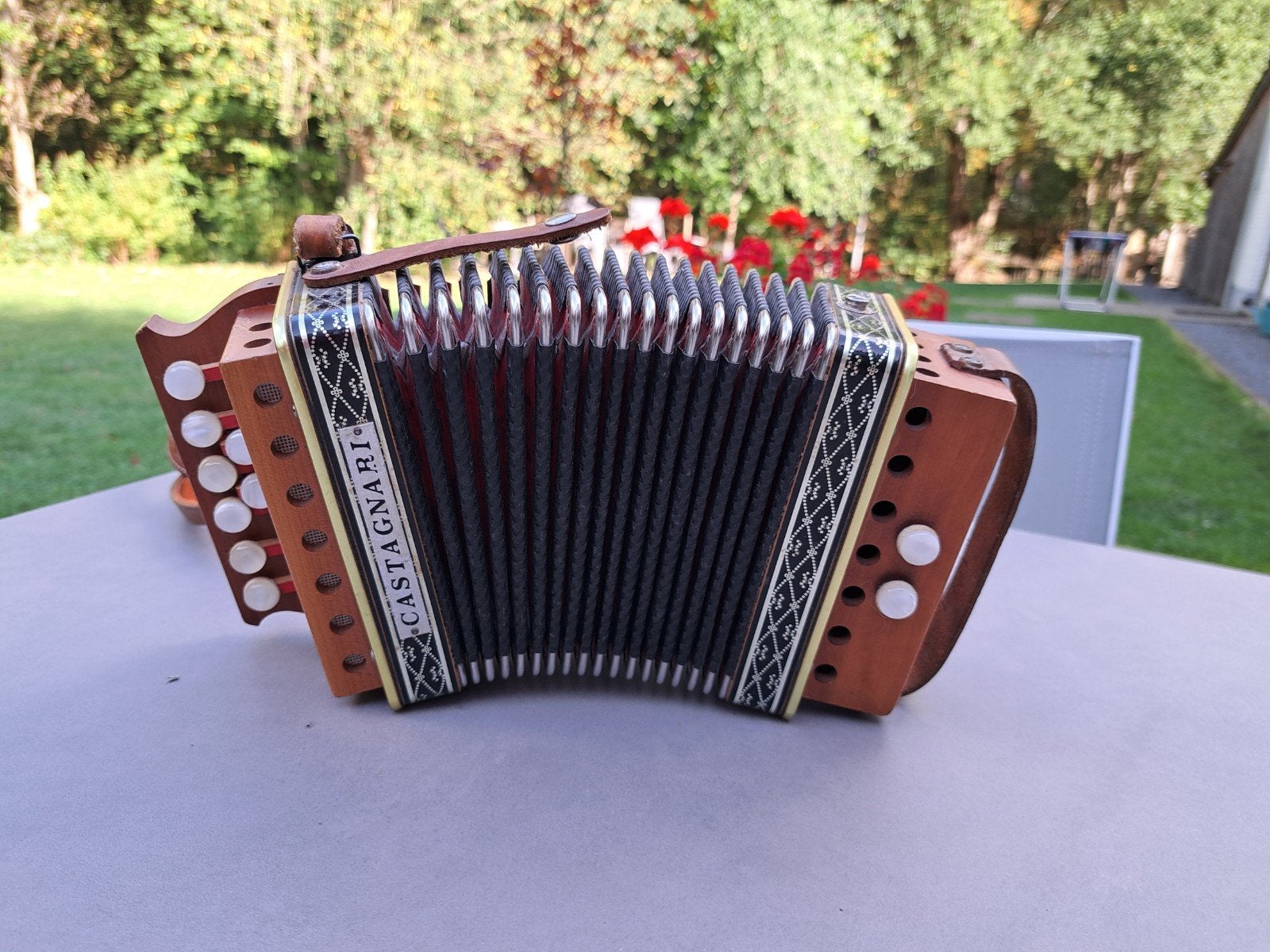 Joli accordéon de Castagnari, Musique & Instruments, Enlèvement ou Envoi, Comme neuf, Accordéon à boutons