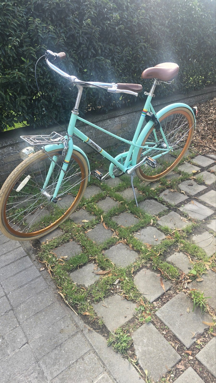 damesfiets, Fietsen en Brommers, Ophalen