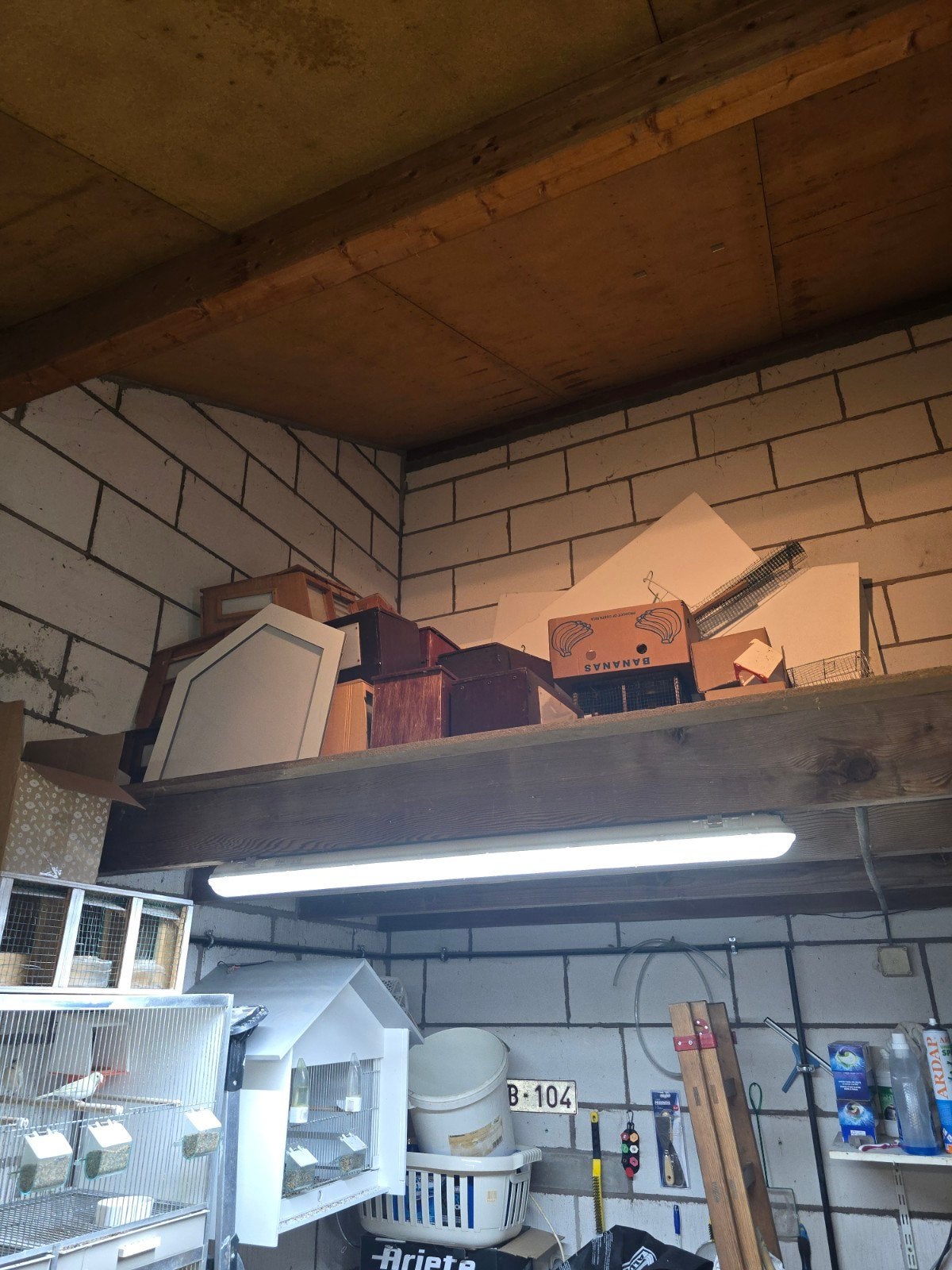 Vinke kooien, Dieren en Toebehoren, Ophalen