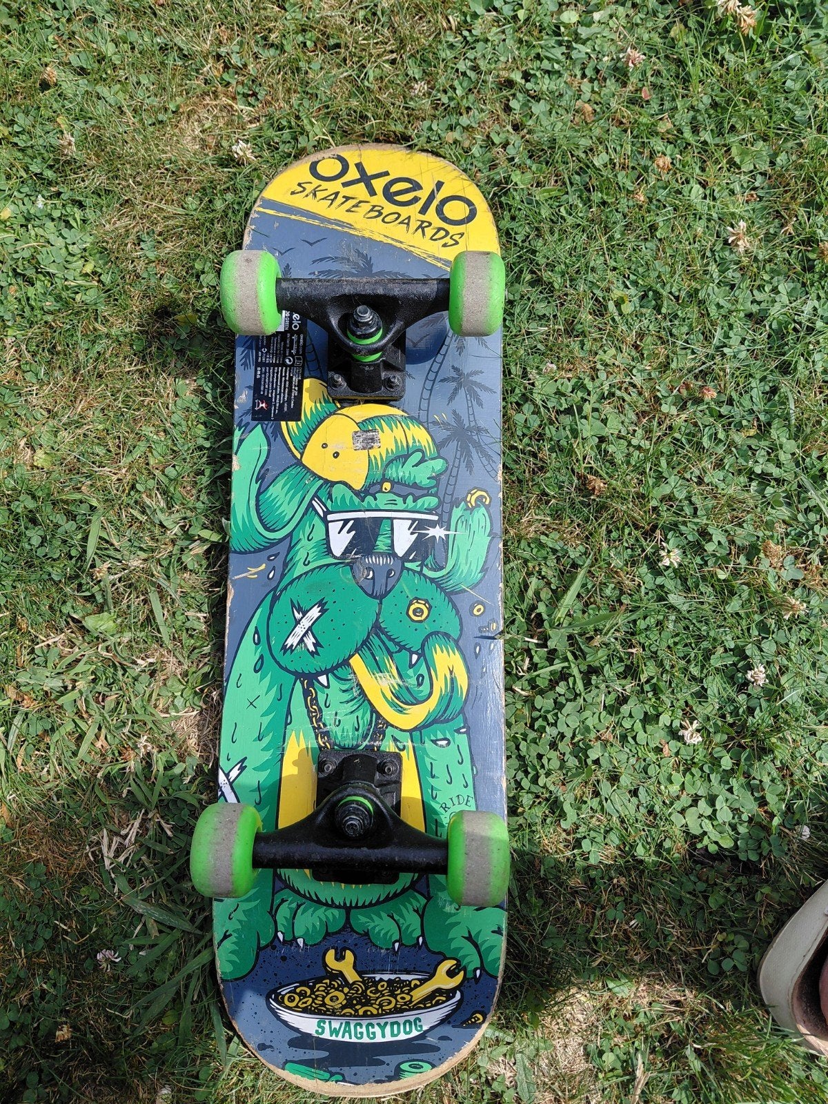 Skateboard chien vert, Enlèvement, Skateboard