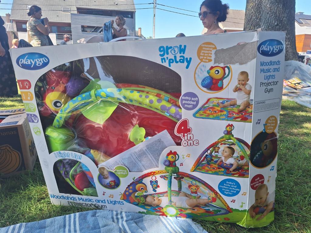 Playgro woonlands music and lights