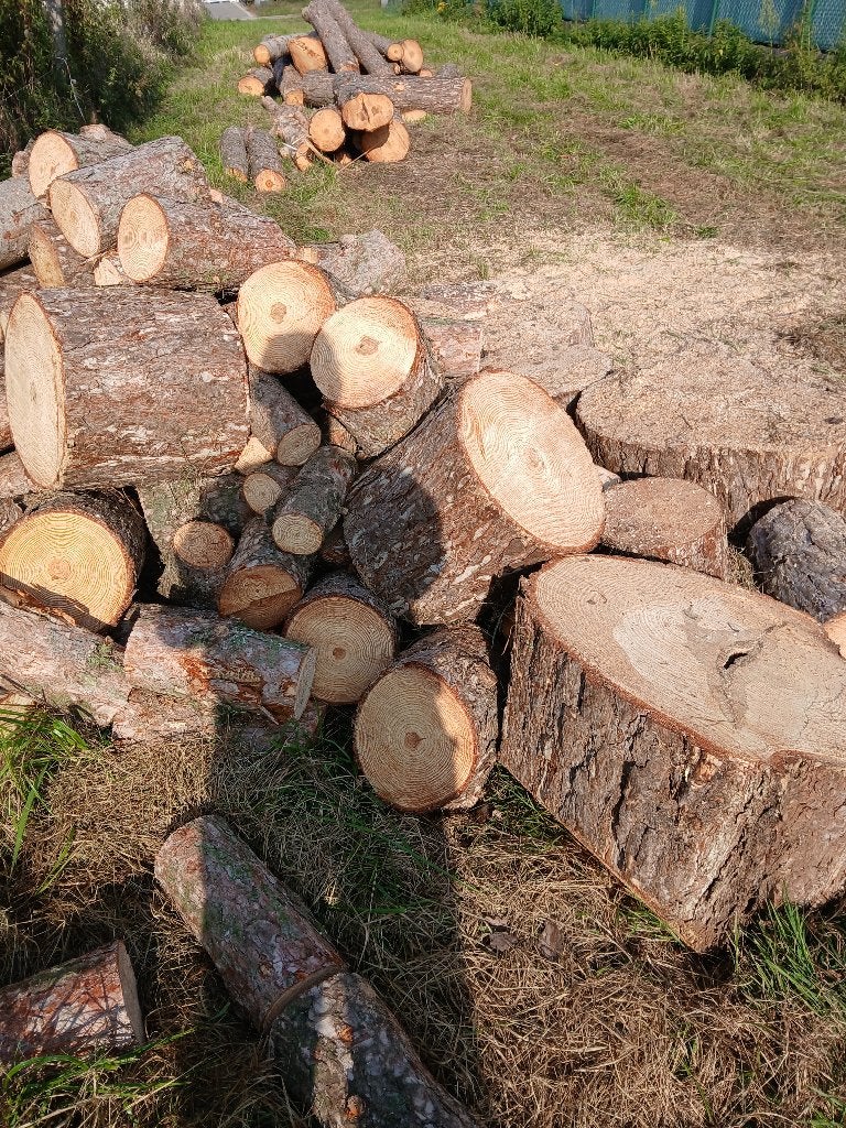 brandhout zagen en klieven, Tuin en Terras, 6 m³ of meer, Ophalen, Overige houtsoorten, Stammen