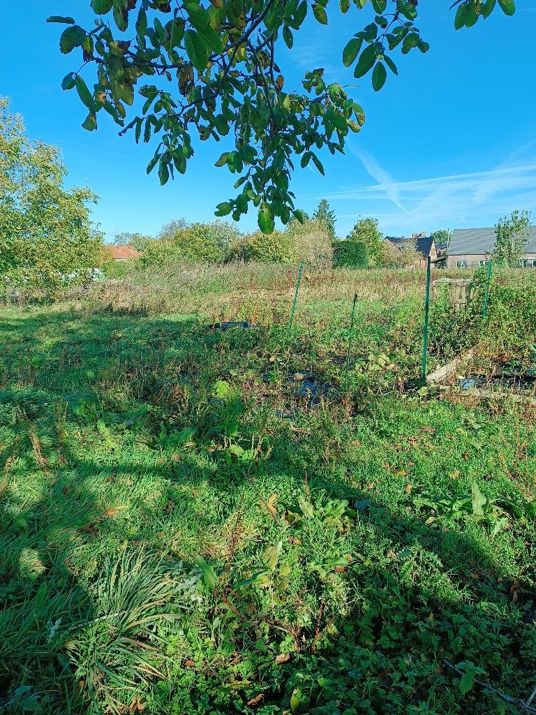 Prairie à louer région de Mons, Jardin & Terrasse, Enlèvement, Autres types