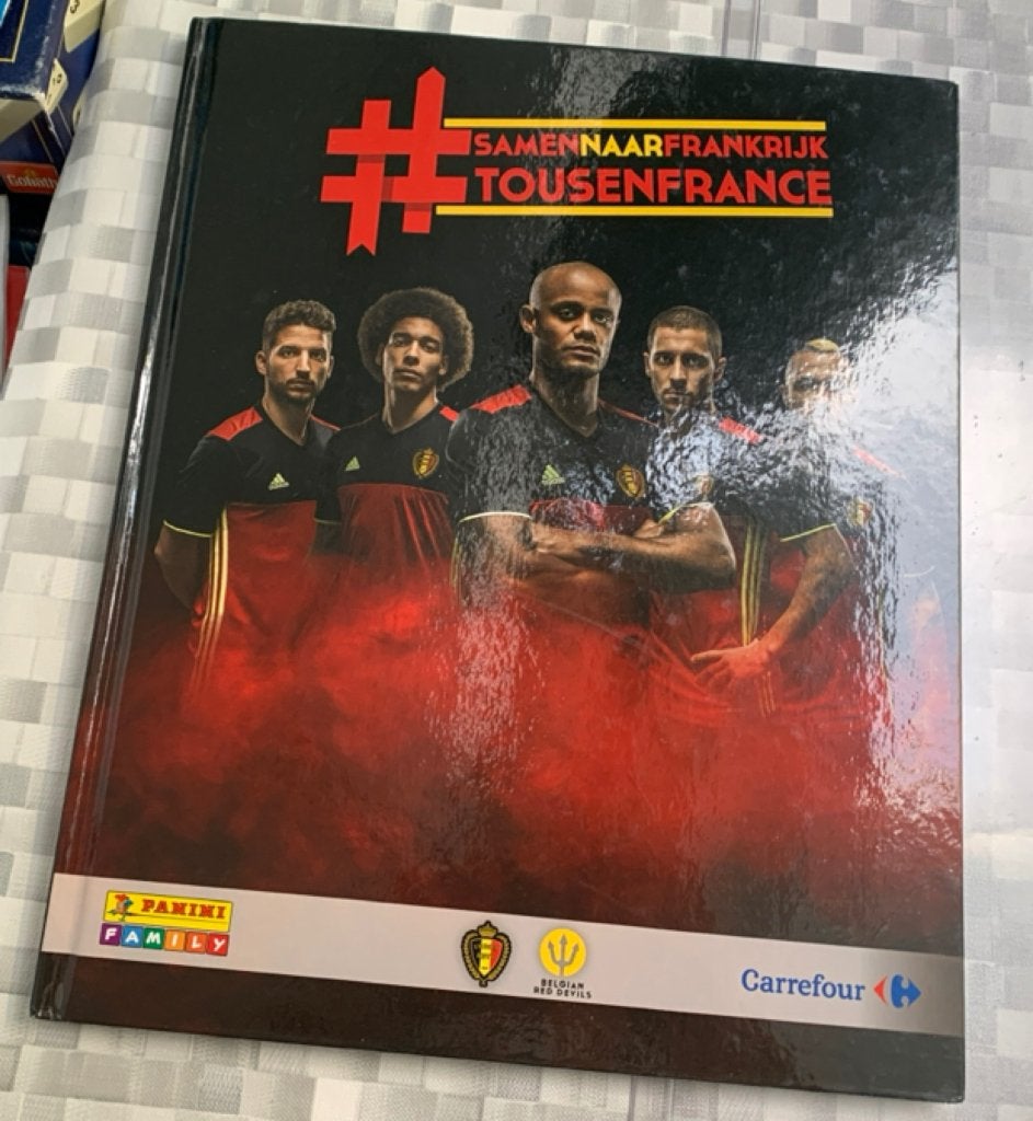 TE KOOP PANINI ALBUM #SamennaarFrankrijk #TousenFrance 2016, Envoi, Comme neuf, Autres types