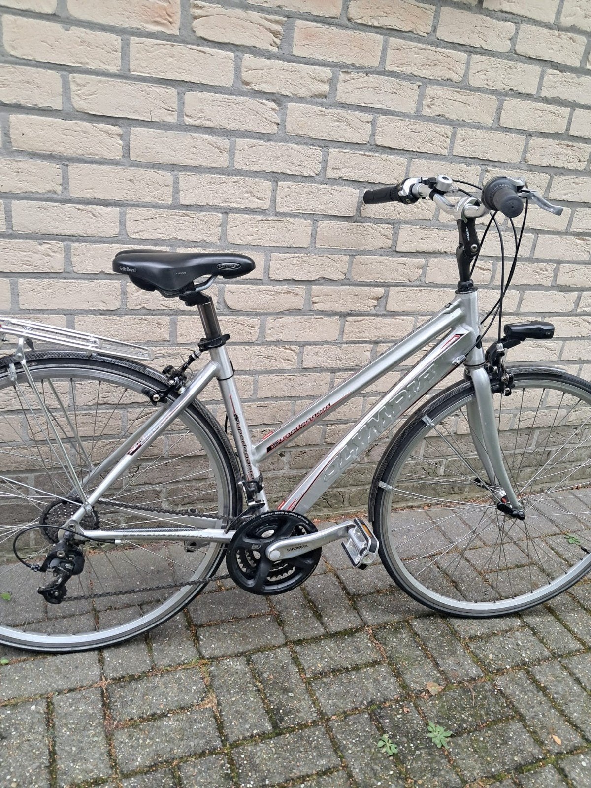 Sportfiets met spatborden en verlichting maat 47, Vélos & Vélomoteurs, Vélos | Femmes | Vélos de sport & de randonnée, Autres marques