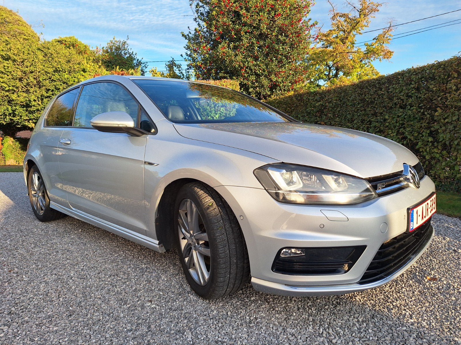 A VENDRE Volkswagen Golf  2.0 TDI, Cuir, Argent ou Gris, 110 kW, Boîte manuelle