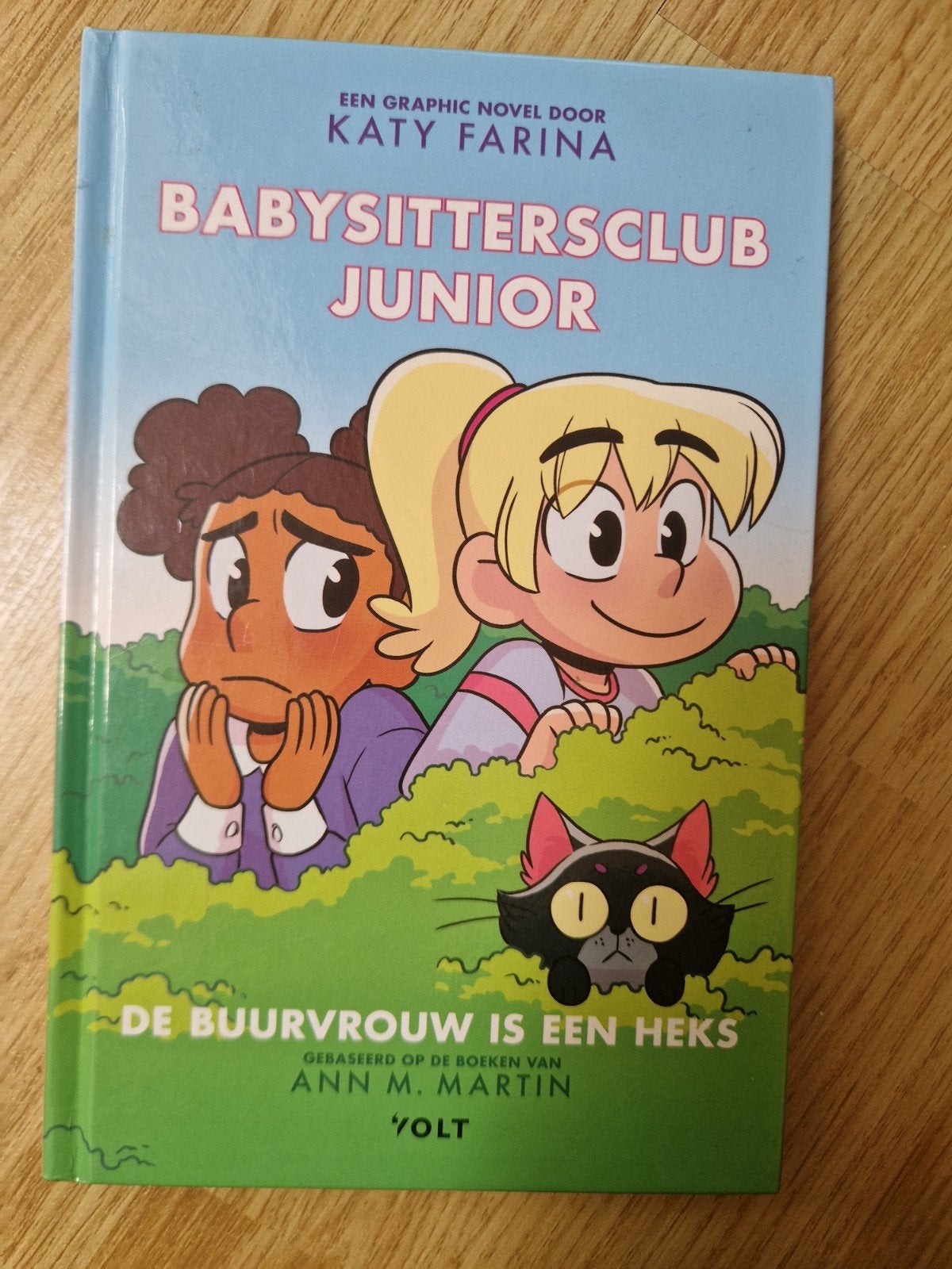 Ann M. Martin - De Buurvrouw is een heks, Ophalen of Verzenden, Ann M. Martin