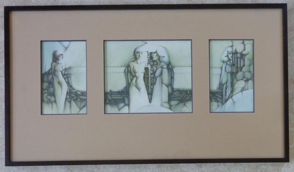 DANNY BLOES / TRIPTIEK / ORIGINEEL WERK / 47x83cm / KADER, Antiek en Kunst, Ophalen