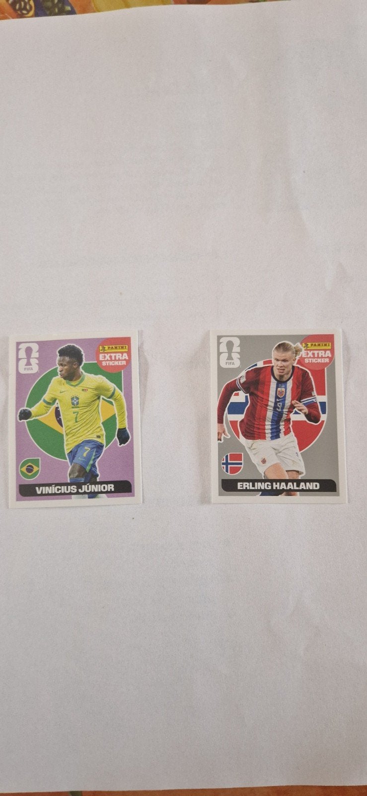 PANINI 2026 EXTRA STICKERS, Collections, Enlèvement