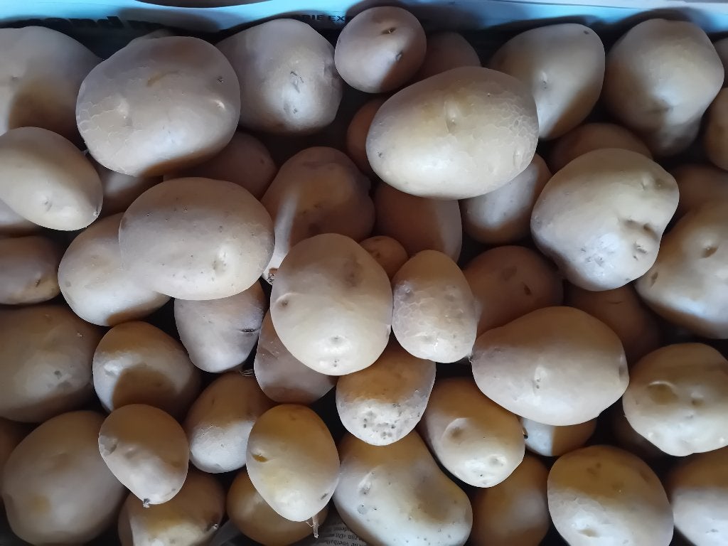 Bio aardappelen, Articles professionnels, Enlèvement