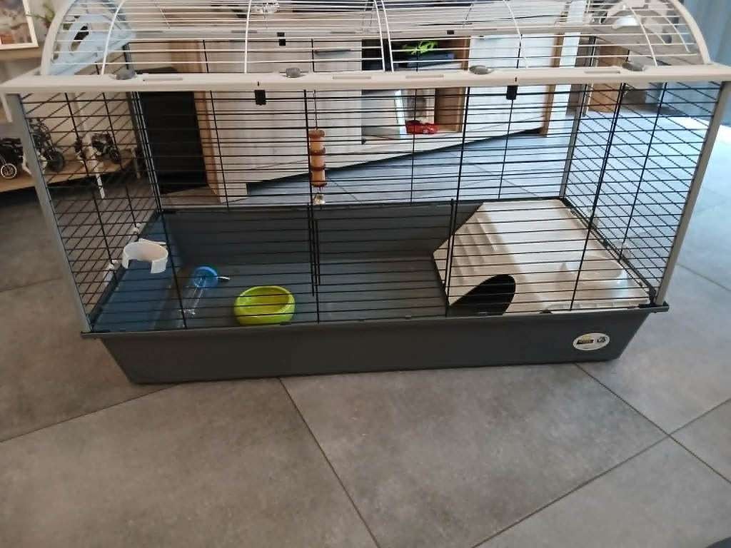 Te Koop, Vrouwelijk, Groot, 0 tot 2 jaar