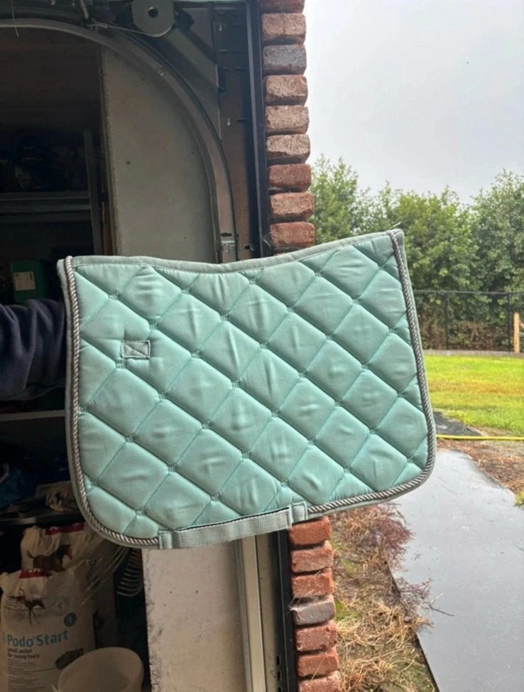 Mintgroen dekje, Dieren en Toebehoren, Gebruikt, Shetlander/Mini, Overige merken, Ophalen of Verzenden