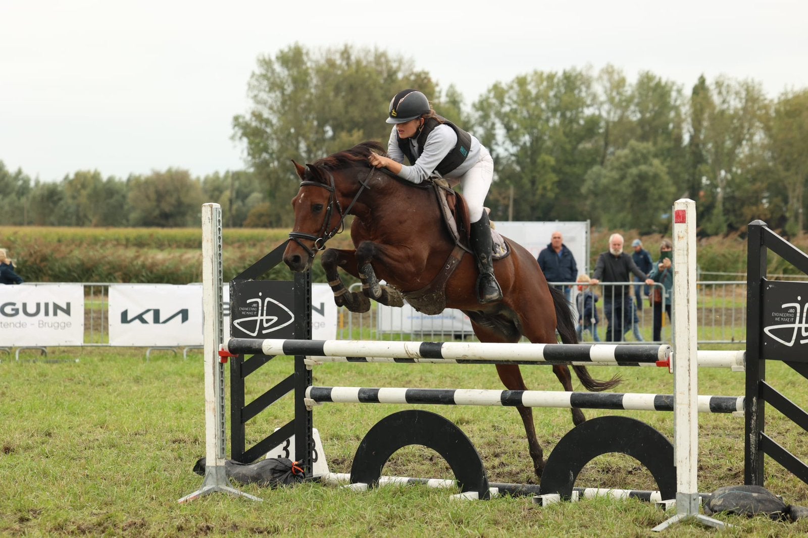 D-springpony, 11 ans ou plus, L, Poney D (1.37 m à 1.48m), Poney de saut