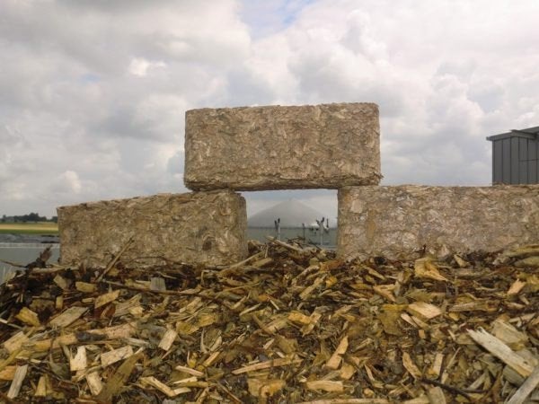 Briques de bois compressé, Moins de 3 m³, Envoi, Hêtre, Bûches