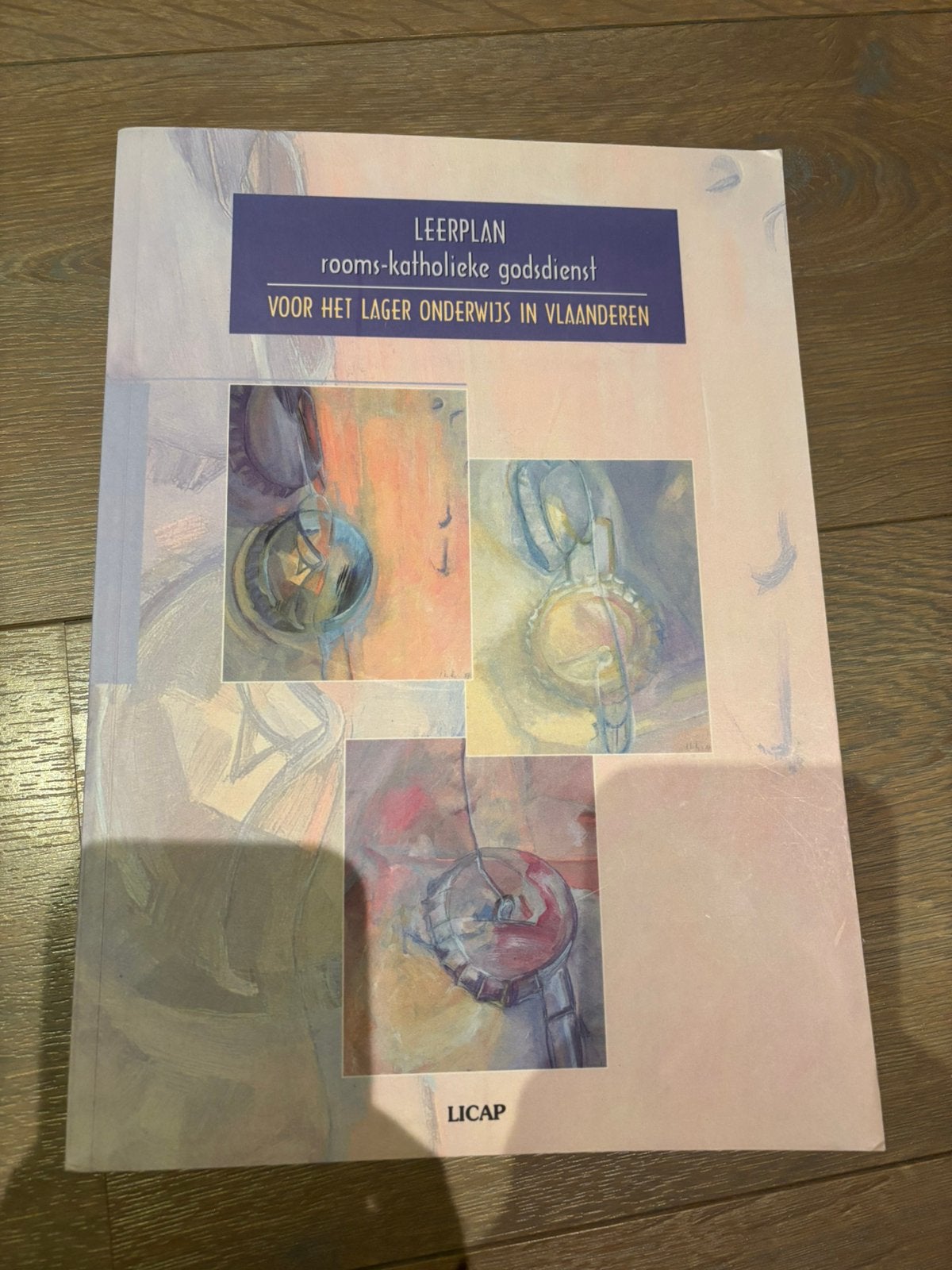 Leerplan rooms-katholieke godsdienst voor het lager onderwij, Ophalen of Verzenden