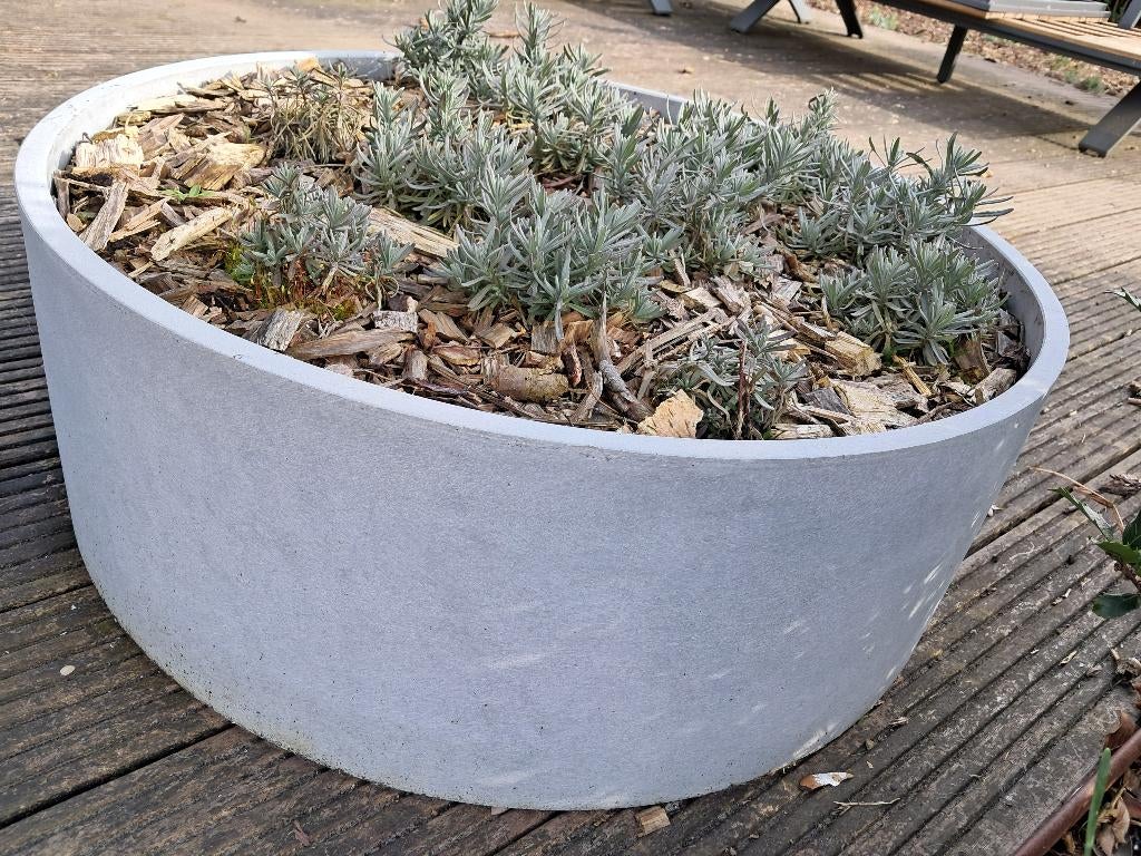 Bloemschalen - plantenbak - bloempot, Tuin en Terras, Ophalen, Binnen