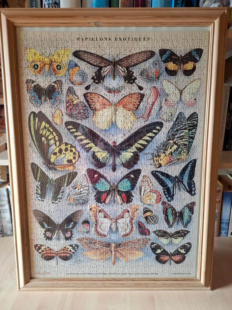 Puzzel exotische vlinders, Enlèvement