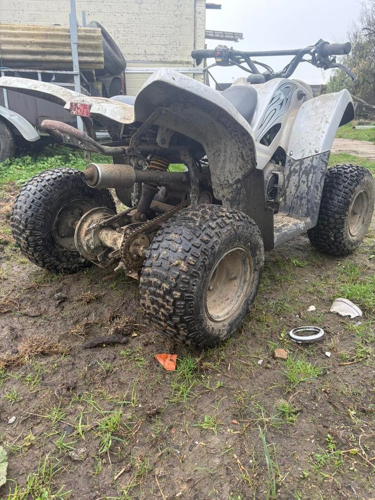 Adly quad, Motoren, 11 kW of minder, 50 cc, 1 cilinder