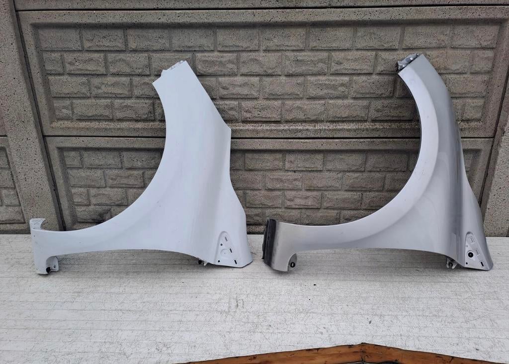 RENAULT CLIO 4 IV 13-20 spatbord zijscherm, Ophalen