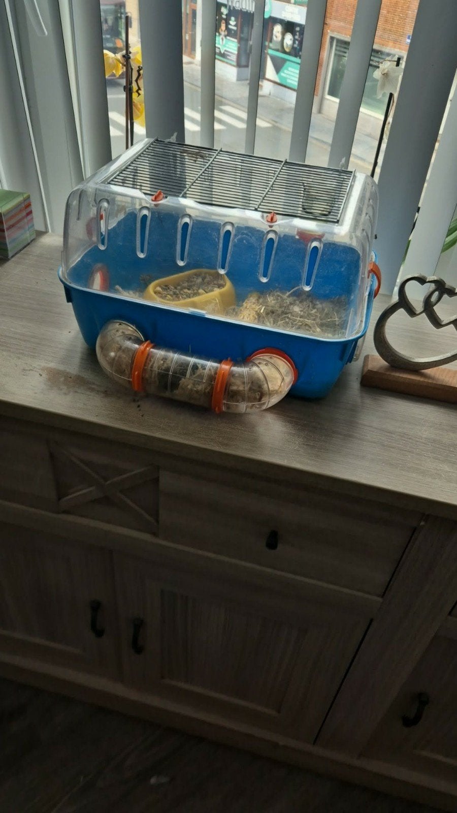 hamster russe a donner, Animaux & Accessoires, Enlèvement