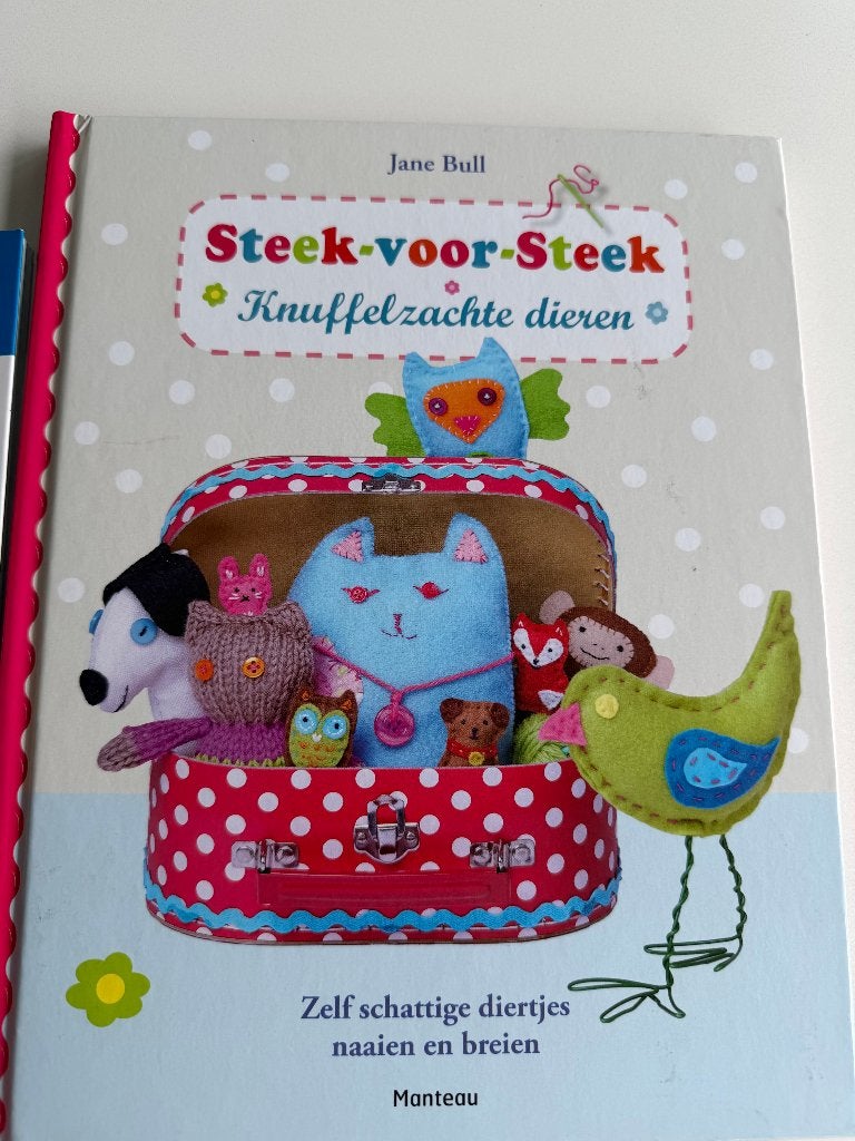 Leren en haken en naaien voor kinderen, Ophalen, Zo goed als nieuw