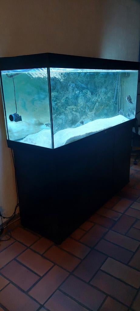 Aquarium LED Rio 450 avec meuble noir, Enlèvement, Chauffage
